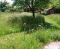 Bild: exb
Auf den gemähten Wegen kann man die Kreislehrgarten-Wiese hautnah erleben: im Wind wogende Grashalme, duftende Blühstreifen und unzählige Insekten. Dennoch gibt es Besucher, die dieses Fleckchen Erde scheinbar nicht zum Genießen besuchen, sondern zum Stehlen oder sogar Randalieren.