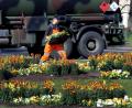 Bild: Stephan Huber
Die Stadtgärtnerei bringt den Frühling in die Stadt: Die Mitarbeiter bepflanzen unter anderem die Insel im großen Kreisverkehr.