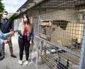 Bild: oe
500 Euro Spende für das Tierheim: Von links Ingrid Mallmann, Zweite Vorsitzende vom Tierschutzverein. Die beiden Vorsitzenden der 
Ammerthaler Kirwagemeinschaft, Marcel Pemp und Sarah Hirschmann.