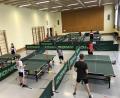 Bild: kro
In sechs "Boxen" wird seit Montag beim TB Jahn Wiesau wieder Tischtennis trainiert.