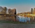 Bild: gz
Mit der Beseitigung des Schilfes am linken und rechten Ufer soll die Sauberkeit im Badesee verbessert werden. Im hinteren Bereich wurde ein Streifen mit Schilf erhalten.