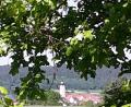 Bild: mng
"Grüner" Durchblick auf die Haidenaabstadt, von der Winterleite kommend.