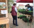Bild: Hirsch
Regionale Produkte kaufen und dabei auf die Hygienevorschriften achten. Auf dem Bauernmarkt in Perschen lässt sich das wunderbar miteinander vereinen.