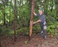 Bild: gi
Der Waldbauer Josef Ach aus Isgier stellt Rindenschaden in seinem Wald fest. Er bittet die Eltern, ihre Kinder über die Bedeutung des Waldes für den Menschen aufzuklären.