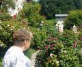 Bild: exb
Mitglieder des Obst- und Gartenbauvereins Münchenreuth haben den offenen Garten der Familie Bauernfeind in Großbüchlberg besucht.