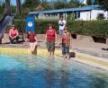 Bild: bsc
Enormes haben in diesem Jahr neben Beschäftigten der Gemeinde und freiwilligen Unterstützern die Mitglieder des Förderkreises Freibad Friedenfels geleistet. Vorsitzende Lisa Rauh (Zweite von links) dankte für die vielen freiwilligen Stunden im Vorfeld - obwohl die Helfer nicht wussten, ob das Bad geöffnet werden kann. Mit im Bild ein Teil der Unterstützer, die am Tag der Entscheidung durch den Gemeinderat nochmals kräftig Hand angelegt haben: (von links) Bärbel Völkl, Gabi Härtl, Barbara Kaßeckert und Monika Seidel.