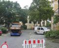 Bild: Josef Glas
Die Bäume auf dem Marktplatz sind von Totholz befreit worden.