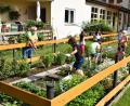 Bild: bnr
Im Schulgarten sind die Kinder begeistert bei der Sache. Gartenfreund Gerhard Meindl und die Klassenlehrerin Elisabeth Ertl zeigen den Kindern, wie es richtig gemacht wird.