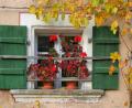 Bild: Artur Lindner/exb
Grüne Fensterläden und rote Geranien – ein schönes Detail des alten Bauernhauses.