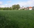 Bild: pz
Mit knapp 4,9 Millionen Euro soll die Bodensanierung dieser landwirtschaftlich genutzten Fläche in Waldsassen bezuschusst werden: Das Gelände ist komplett mit alten Kapselscherben aus der Porzellanindustrie aufgefüllt.