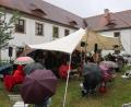 Bild: Kunz
Bei Regen eröffnete die "King Size Combo" am Mittwochabend die Sommer-Serenaden-Saison im Innenhof der Regionalbibliothek.