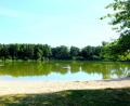Bild: mab
Das Wasser im Forsterweiher ist aus gesundheitlicher Sicht für den Badebetrieb gut geeignet. Zu diesem Ergebnis kommt eine Laboruntersuchung.