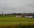 Bild: dob
Auf dem rund 3000 Quadratmeter großen Areal hinter dem landwirtschaftlichen Anwesen sollen neun Reihenhäuser errichtet werden. Der Stadtrat verwehrt dem Vorhaben das gemeindliche Einvernehmen.