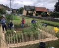 Bild: Günter Süß
Nun umgibt ein Zaun den "Wühlmausgarten" des Gartenbauvereins Teunz.