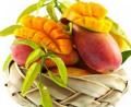 Bild: obx-medizindirekt/Fotolia
Mangos enthalten doppelt so viel Vitamin C wie Kirschen oder Brombeeren, außerdem die Vitamine B1 und B2 sowie Niacin. Ihr hoher Gehalt an Kalium macht sie für den Zellstoffwechsel besonders wertvoll.
