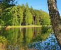 Bild: flt
Noch ist die Liegewiese am Waldstrandbad "Großer Weiher" leer. Wenn das nötige Personal noch gefunden wird, dann kann sich dies vielleicht bald ändern.