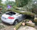 Bild: Alexander Auer
Unwetter zieht über die Landkreise Regensburg und Cham. Am Roither Weiher bei Neutraubling stürzen mehrere Bäume um.