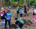 Bild: hl
Nicht auf einer geheimnisvollen Insel, sondern im Wald gingen die jungen Piraten auf Schatzsuche.
