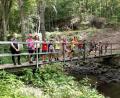 Bild: stn
Auch im Wald kann man Spaß haben