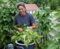 Bild: ads
Gärtnermeisterin Tanja Götz hat diesmal die Bohne zum Jahresthema im Kräutergarten Schnaittenbach gemacht.