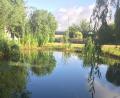 Bild: gm
Der Pittersberger Dorfweiher vor etwa drei Wochen mit noch vollem Wasserstand sowie idyllischer Einbindung durch die Natur. Alle hatten ihre besondere Freude daran, ob Mitglieder der Gemeinschaft oder Nachbarn ringsum und auch fremde Besucher.
