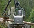 Bild: tr
Am Harvester lässt sich exakt die Länge einstellen, die das Sägewerk zur Weiterverarbeitung der Stämme braucht.