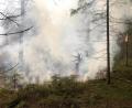 Symbolbild: Feuerwehr Weiden/exb
Zum Teil galt und gilt für den Landkreis die höchste Waldbrand-Warnstufe. Die Feuerwehr erinnert an Verhaltensregeln, damit es nicht zum Ernstfall kommt, ist aber gerüstet.