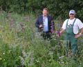 Bild: jr
Stolz präsentieren Bürgermeister Stefan Grillmeier (links) und Stadtgärtner Willi Kilian die heuer erst angesäte Blühwiese unterhalb des Friedhofs bei der Kläranlage.