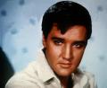 Bild: agentur_dpa
Elvis Presley guckt. Was er wohl zu dem Drama sagen würde?