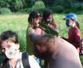 Bild: ads
Bei der Naturtour entdeckt man ein Heupferd, dessen Größe die Kinder schwer beeindruckt.