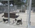 Bild: ohr
Bislang zahlt die Gemeinde einen jährlichen Beitrag in Höhe von 50 Cent pro Einwohner an das Tierheim. Diese Summe wird nun verdoppelt.
