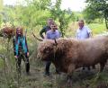 Bild: Stadt Tirschenreuth/exb
Nicole Bergler von der Unteren Naturschutzbehörde, Stadtförster Stefan Gradl und Bürgermeister Franz Stahl (von links) besuchen die Schottischen Hochlandrinder von Landwirt Martin Wolf (Zweiter von rechts) aus Immenreuth auf der "Storchenwiese" bei der Lodermühle. Bulle „Sandro“ genießt die Streicheleinheiten.