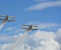 Bild: jr
Atemberaubende Flugshows gab es bei den Egerer Flugtagen zu bewundern.