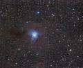 Bild: Martin Sponsel 
Martin Sponsel vom Förderverein Volkssternwarte Amberg-Ursensollen den Sternhaufens NGC 7023 aufgenommen.
