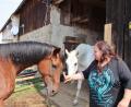 Bild: Dobler
Manuela Meyer liebt ihre beiden älteren Pferde und glaubt sich vom Veterinäramt zu Unrecht beschuldigt, die Tiere auf ihrem Anwesen nicht artgerecht zu halten.