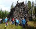 Bild: Bund Naturschutz/exb
Staunen ließ der riesige Wurzelteller einer umgestürzten Fichte bei der lehrreichen Führung am Südhang der Kösseine durch Förster Wolfgang Schödel (hinten, Bildmitte).