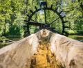 Bild: Thomas Kujat/exb
Das bekannte Wasserrad im Waldnaabtal.