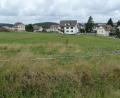 Bild: Portner
Mit Blick über die Stadt: Zwischen der Bundesstraße 22 und der Eigelsberger Straße entsteht ein neues Baugebiet mit 63 Wohnungen.