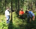 Bild: knh
Am nachwachsenden Laubbaumbestand erklären Förster Philipp Bahnmüller (rechts) und Erwin Fischer (Mitte) dem Landtagsabgeordneten Stephan Oetzinger (links), wie durch Sturmschäden entstandene Lücken im Wald wieder wirksam geschlossen werden können.