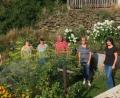Bild: Christine Böhm/exb
Auf dem Fenchelstrauch im Garten von Petra Altnöder (links) in Wernersreuth wurden fünf Raupen des Schwalbenschwanzes gefunden. Darüber freuten sich (von links) die OGV-Mitglieder Elfriede Berling, Agnes Burger Agnes, Zweiter Vorsitzender Martin Meyer, Vorsitzende Christine Böhm und Resi Lippert.