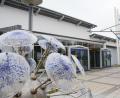 Bild: Gabi Schönberger
Sitzungen statt Kunst und Kultur: Viele Gremien benötigten wegen der Abstandsregeln mehr Platz und verlagerten ihre Sitzungen in die Stadthalle nach Neustadt.