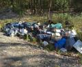 Bild: jr
Eine größere Menge an Müll und Unrat hat ein Unbekannter an einem Waldweg unmittelbar an der Staatsstraße TIR40 nahe Themenreuth abgelegt, kurz hinter der Abzweigung von der B15. Bürgermeister Johann Burger hat Anzeige erstattet und bittet um Hinweise.