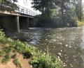 Bild: Gabi Schönberger
Zwei Tage danach ist der Flutkanal schon wieder eine trügerische Idylle. Etwas flussabwärts des Stadtbadwehrs entdeckten Taucher der Weidener Wasserwacht am Samstagabend ein Leiche.