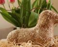 Bild: sfo
Das fertig gebackene vegane Osterlamm mit Puderzucker-Glasur bestreichen und - wer mag - mit Kokosraspel bestreuen.