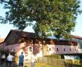 Bild: e
In Lengenfeld soll nach dem Willen eines Landwirts die Esche am Spielplatz gefällt werden. Dem erteilt der Bauausschuss Kümmersbruck eine Absage.