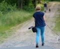 Symbolbild: Gabi Schönberger
Spitz Benni aus dem Landkreis Schwandorf darf bei seinem Frauchen bleiben und, wie der Hund auf dem Bild, wieder Gassi gehen. Ehrenamtliche Helfer holen den Hund zwei Mal täglich für eine Runde ab.