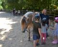 Bild: fuw
Aufmerksam lauschen die Kinder der Leiterin des Ponykurses Mirjam Dressendörfer. Sie wollen die Tiere verstehen lernen.