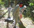 Bild: Gabi Schönberger
Schweinepest-Übung in Weiden: Mitarbeiter des Veterinäramts ziehen eine Wildschwein-Attrappe - einen Sandsack - aus dem Wald.