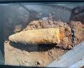 Bild: Polizei Amberg
Die in Hohenburg gefundene Granate. Daneben liegt ein Kugelschreiber zum Größenvergleich.