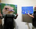 Bild: ubb
Die beiden Kunsthaus-Mitglieder Werner Müller (links hinter dem Vogel-Strauß-Foto) und Jürgen Klein (rechts) sind beim Bestücken der Ausstellung für kleine Scherze wie mit dem Vogel-Strauß-Foto immer gern bereit. Kunstfreunde dürfen sich freuen, in der Präsentation der Künstler gibt es viel Neues zu sehen, eindrucksvolle Werke werden gezeigt.